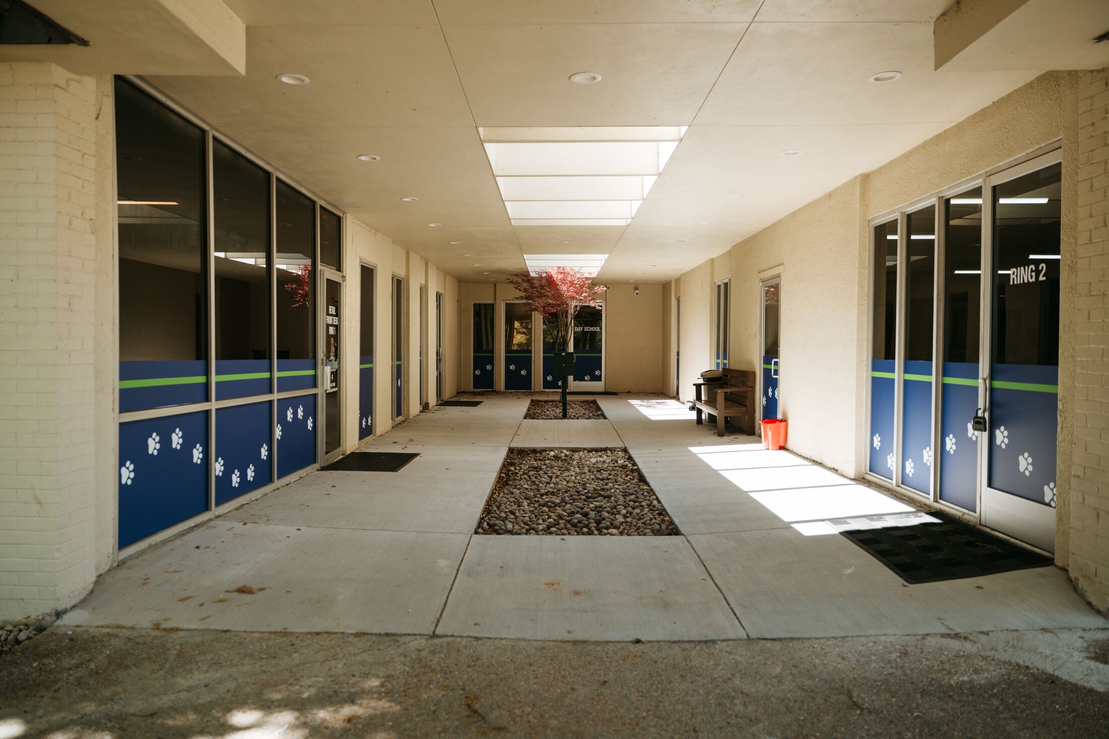Finished corridor with paw-print accent doors at What a Great Dog! Training Center