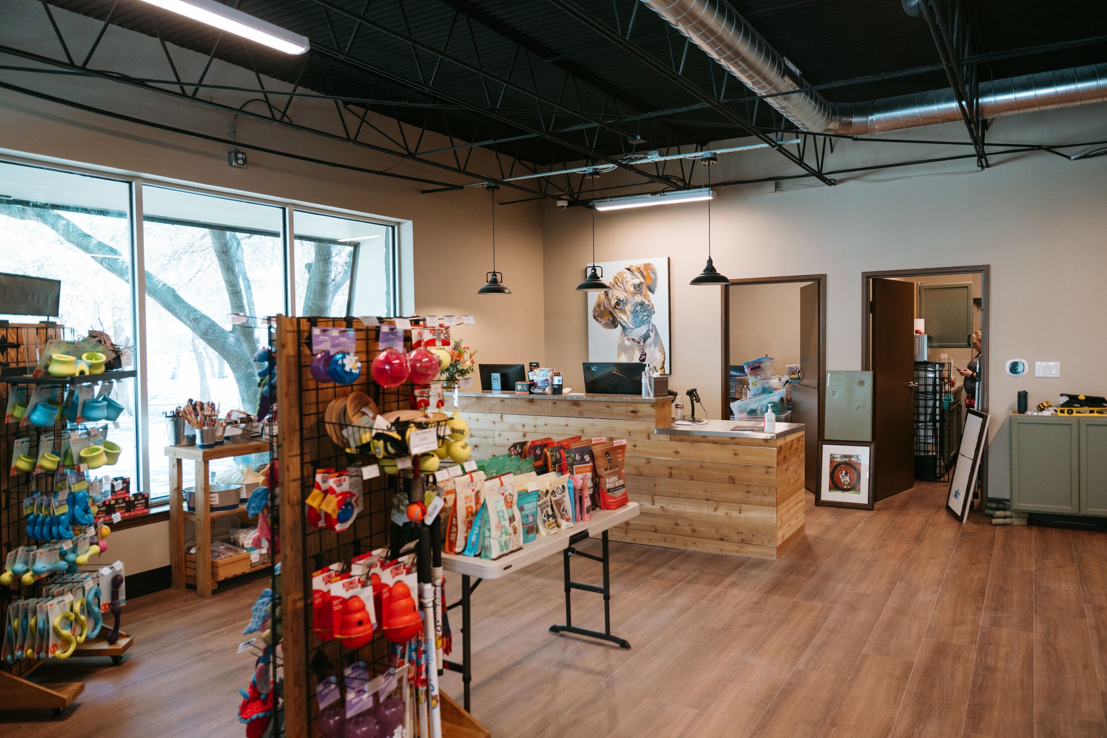 Finished retail area styled like a small pet store at What a Great Dog! Training Center