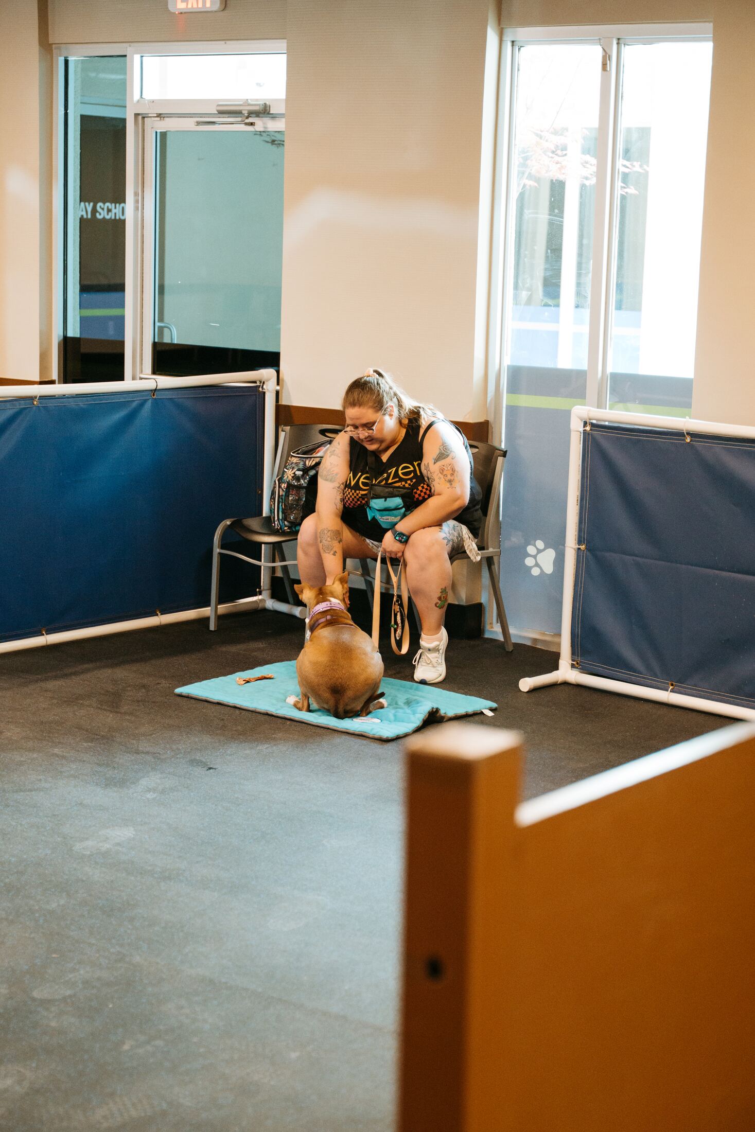 Dog training session in one of the finished training bays