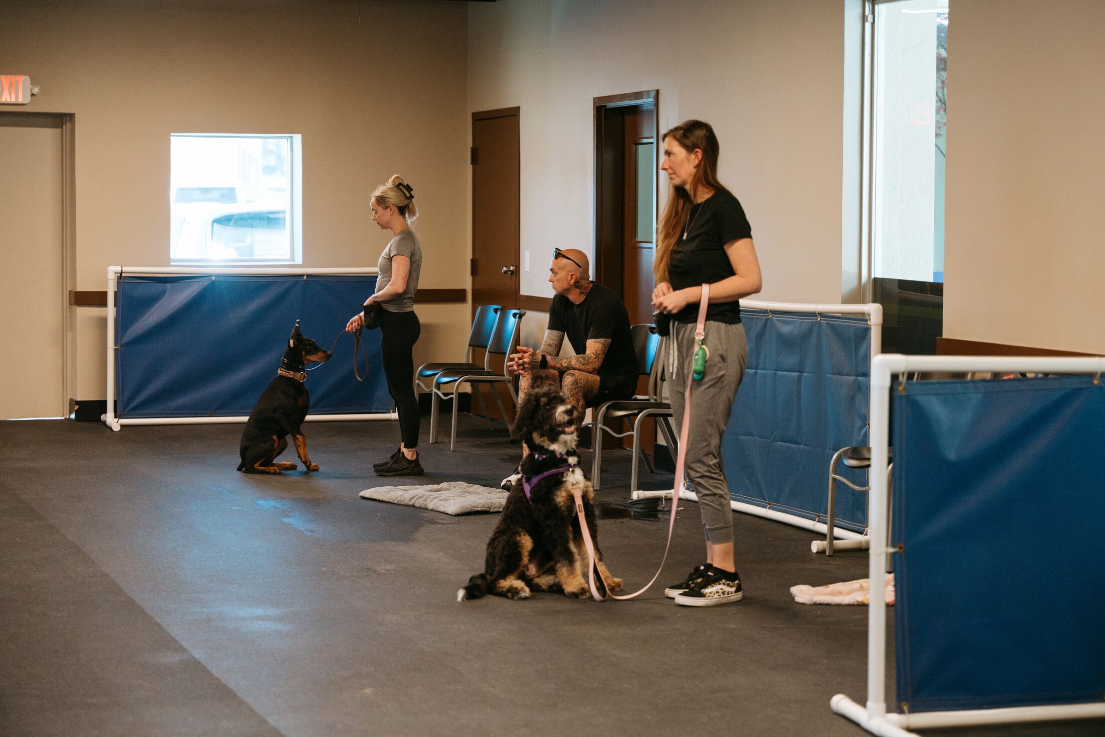 Trainers working with dogs in the finished open training floor