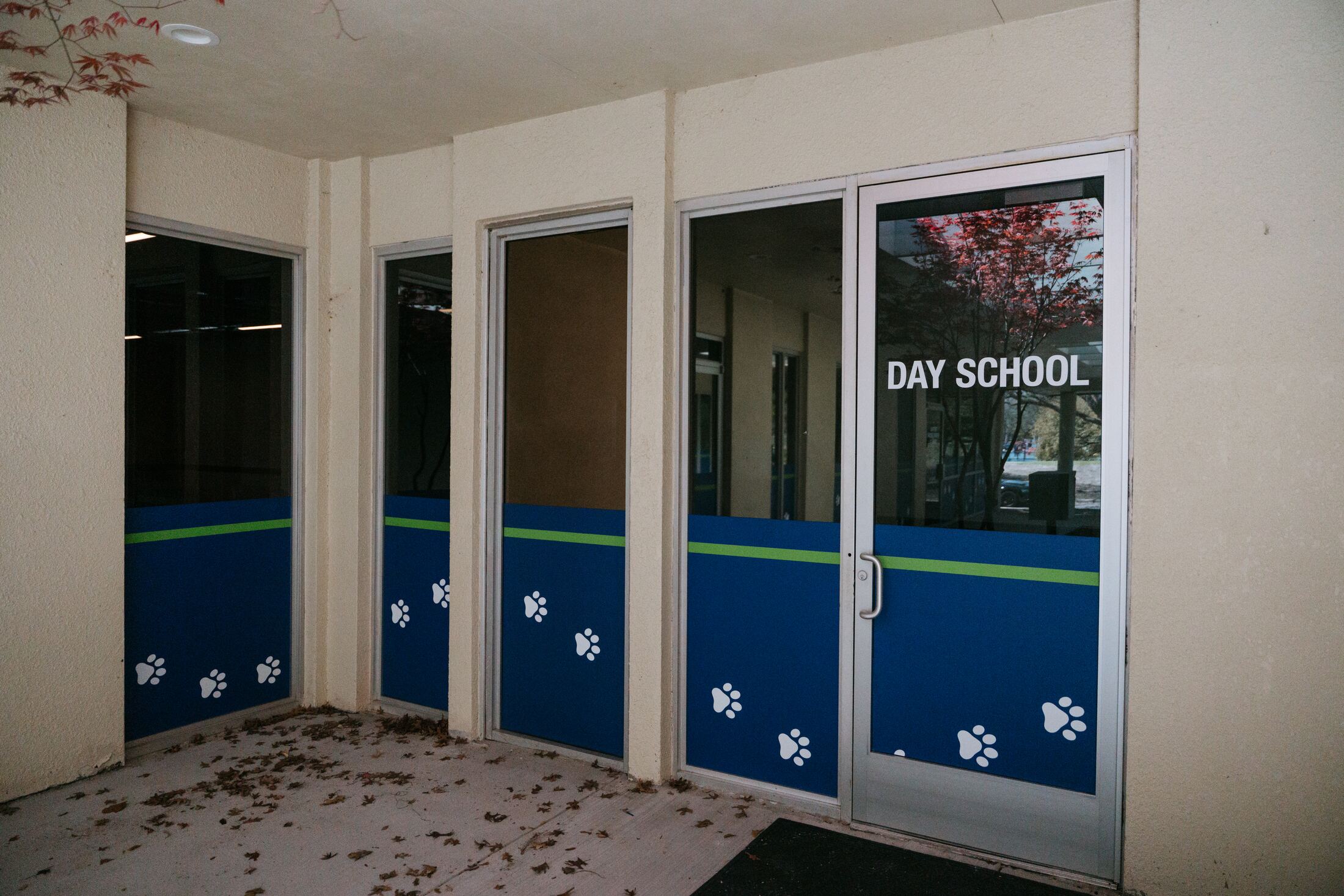 Day School entrance doors with paw-print decals, wide view