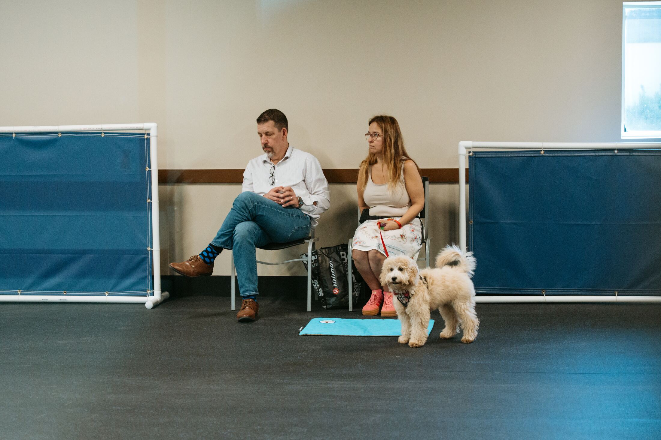 Trainers working with a dog on the finished training floor